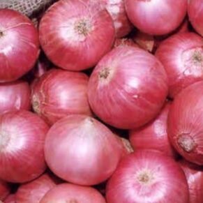 Onion